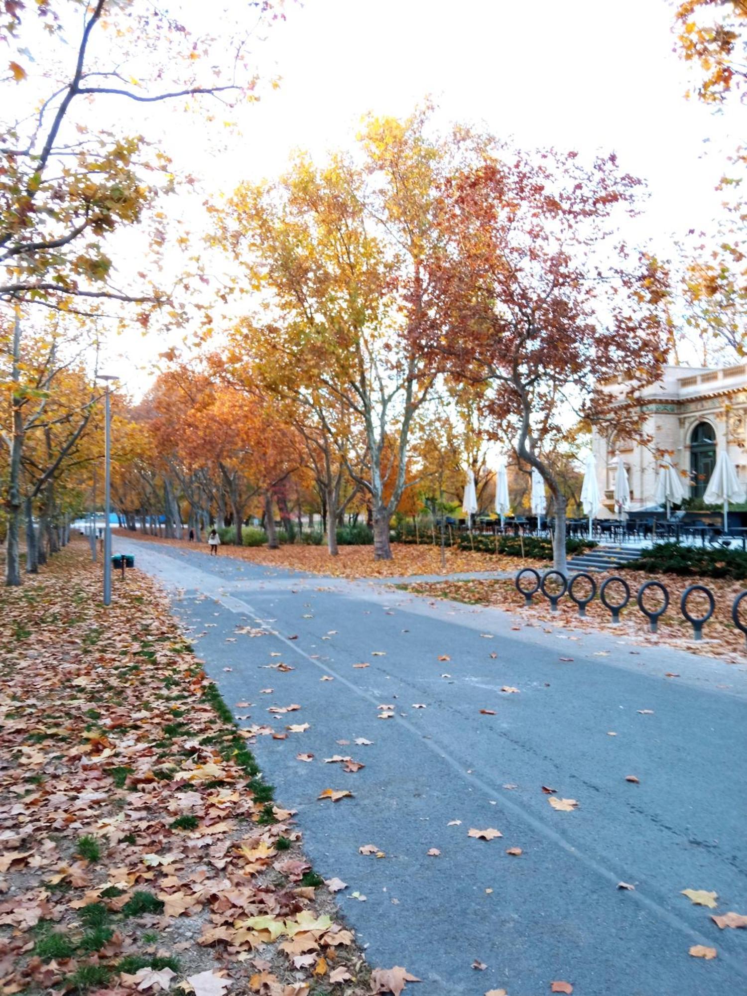 Free Parking Garage! Downtown Apartment Close To New York Cafe Budapest Eksteriør bilde